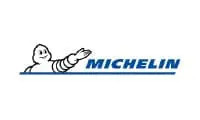 Michelin use ASG Services